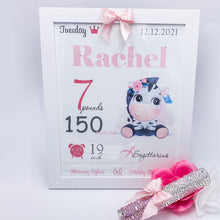 Load image into Gallery viewer, Set Birth Certificate & Baby Rhinestones Mezuzah Big Bow