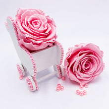 Load image into Gallery viewer, Stroller Pin Name &amp; Preserved Rose
